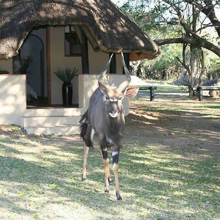 Bonamanzi Game Reserve Hluhluwe Exterior photo