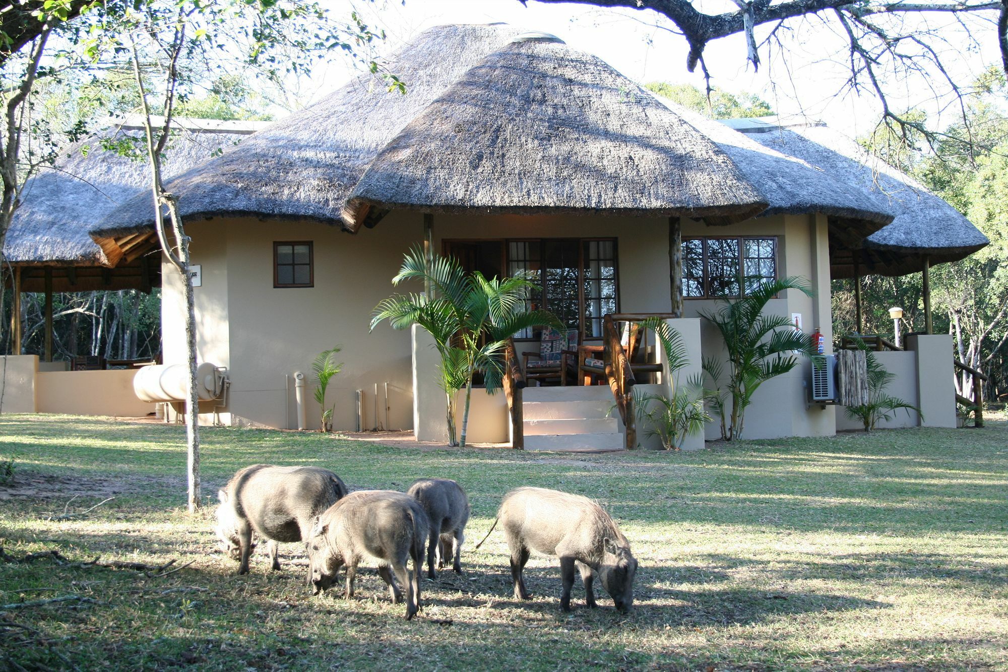 Bonamanzi Game Reserve Hluhluwe Exterior photo
