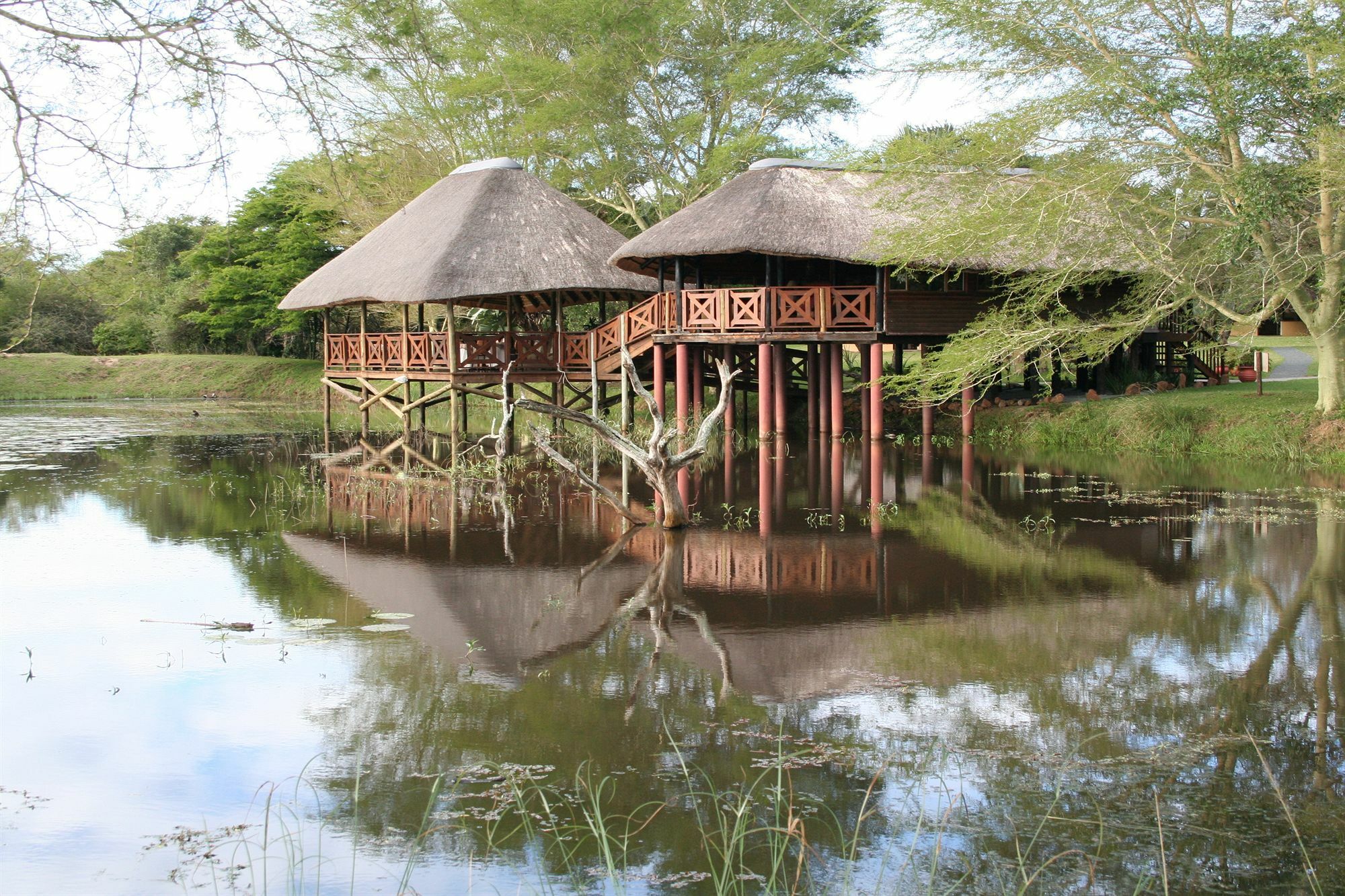 Bonamanzi Game Reserve Hluhluwe Exterior photo